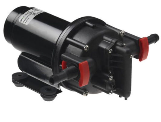 Johnson Pumps 10-13395-103